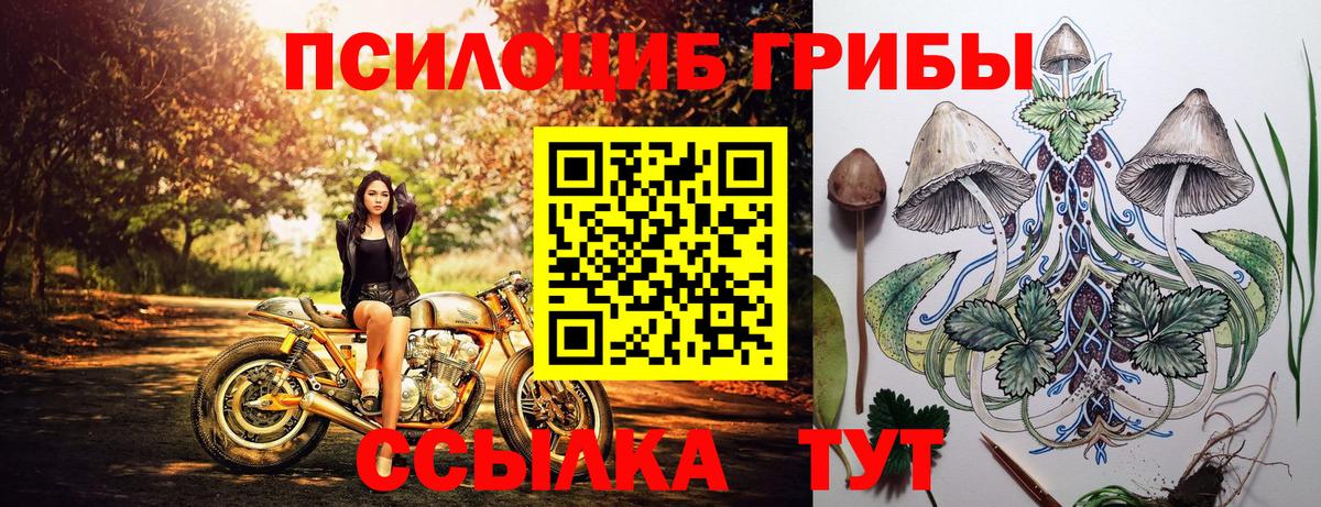 Псилоцибиновые грибы ЛСД Качканар