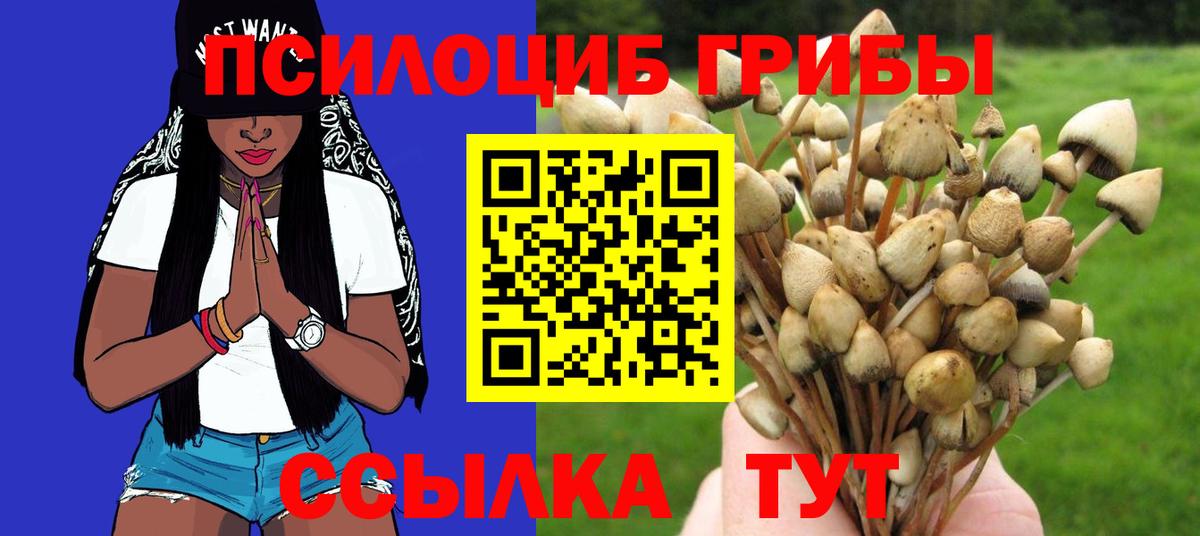Качканар  сколько стоит  Галлюциногенные грибы GOLDEN TEACHER  Вход с VPN  Псилоцибиновые грибы Psilocybine cubensis 